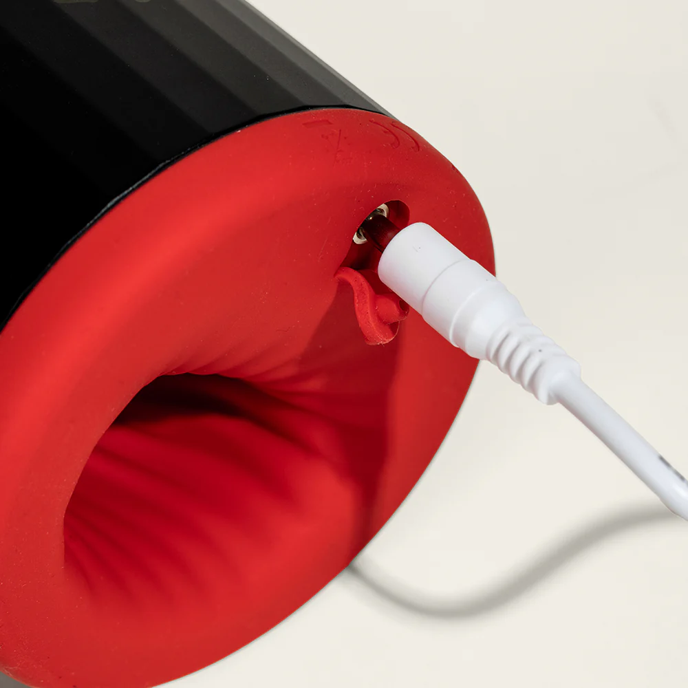 Lelo F2S masturbateur connecté - Image 4