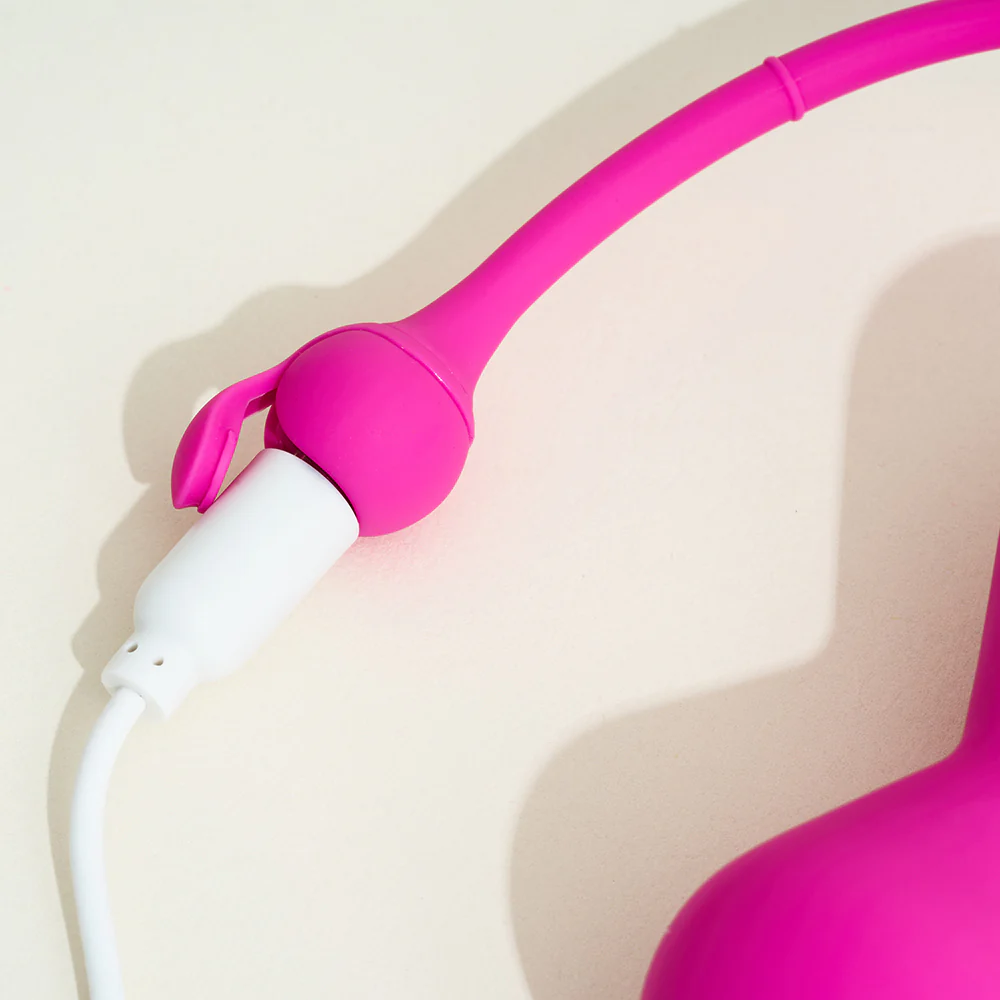 Magic Kegel Master de Magic Motion - Image 2